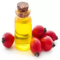 قیمت خرید قیمت عمده روغن گیاهی در گروه خرید و فروش انواع روغن در یکمیوه