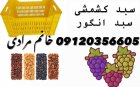 فروش سبد کیلویی انگور سبد کشمشی در میانه در گروه خرید و فروش انواع سبد در یکمیوه
