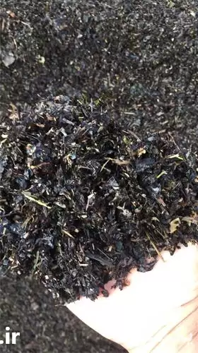 قیمت خرید برگ پوسیده در رشت در گروه انواع محصولات خاک و تغذیه در یکمیوه -عکس1