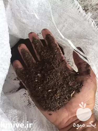 قیمت خرید خاکبرگ سرند شده در گروه خرید و فروش گلدان در یکمیوه -عکس1