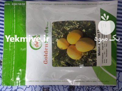 بذر خربزه راک آمریکایی 6 پ در مرودشت در گروه خرید و فروش بذر خربزه در یکمیوه -عکس1