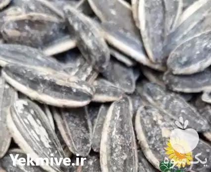 فروش پخش عمده تخمه امیر در خوی در گروه خرید و فروش انواع تخمه در یکمیوه -عکس1