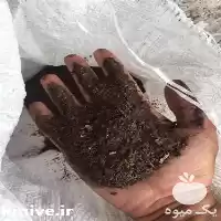 قیمت خرید خاکبرگ سرند شده در گروه خرید و فروش گلدان در یکمیوه