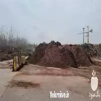 فروش خاک باغچه مرغوب در رشت در گروه انواع محصولات خاک و تغذیه در یکمیوه