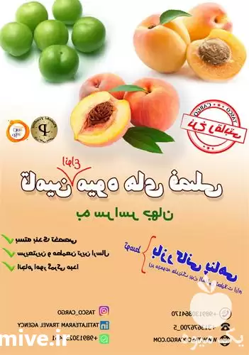 قیمت خرید تامین میوه های فصلی در اصفهان در گروه خرید و فروش محصولات باغبانی در یکمیوه -عکس1