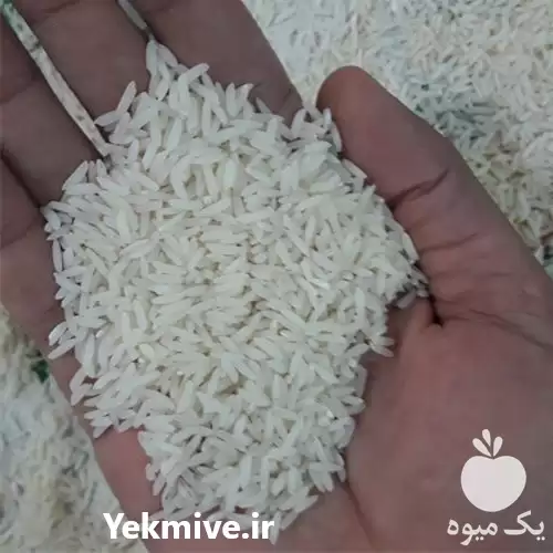 خرید و فروش برنج طارم در ساری در گروه خرید و فروش برنج در یکمیوه -عکس1