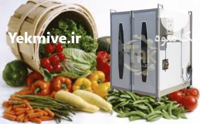 دستگاه خشک کن میوه و سبزی در تبریز در گروه خشک کن در یکمیوه -عکس1