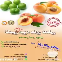 قیمت خرید تامین میوه های فصلی در اصفهان در گروه خرید و فروش محصولات باغبانی در یکمیوه