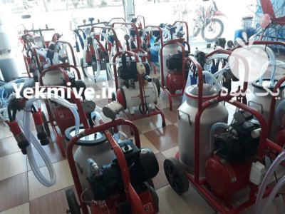 شیردوش دستی برقی گاوی در اردبیل در گروه تجهیزات دامداری در یکمیوه -عکس2