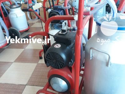 خرید شیردوش دستی برقی گاوی در اهواز در گروه تجهیزات دامداری در یکمیوه -عکس2