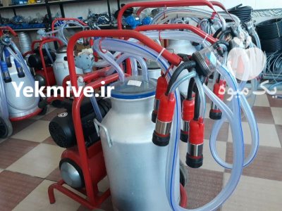 خرید شیردوش دستی برقی گاوی در اهواز در گروه تجهیزات دامداری در یکمیوه -عکس3