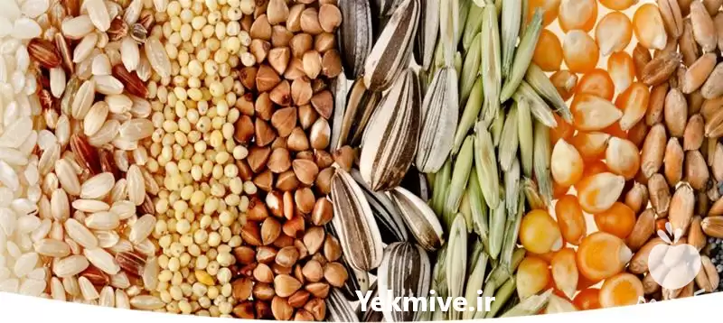 قیمت خرید دانه های روغنی در اصفهان در گروه خرید و فروش دانه های روغنی در یکمیوه -عکس1