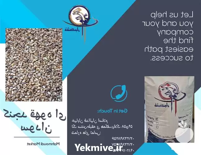 کنجد پاکستان فروش کنجد در گروه خرید و فروش دانه های روغنی در یکمیوه -عکس1