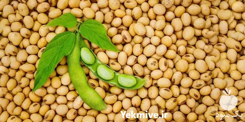 قیمت خرید ویژه سویا درجه یک در گروه خرید و فروش سویا در یکمیوه -عکس1