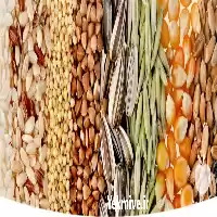 قیمت خرید دانه های روغنی در اصفهان در گروه خرید و فروش دانه های روغنی در یکمیوه