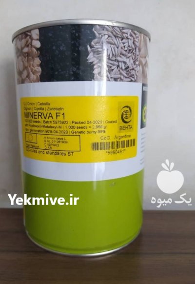 بذر پیاز مینروا در اصفهان در گروه خرید و فروش بذر پیاز در یکمیوه -عکس1