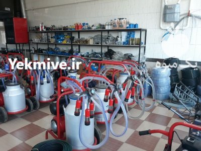 شیردوش دستی برقی گاوی در گروه تجهیزات دامداری در یکمیوه -عکس3