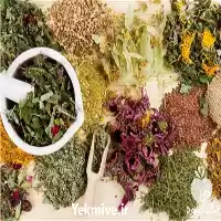 قیمت خرید گیاهان دارویی درجه یک در تهران در گروه خرید و فروش گیاهان دارویی در یکمیوه