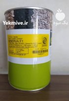 بذر پیاز مینروا در اصفهان در گروه خرید و فروش بذر پیاز در یکمیوه