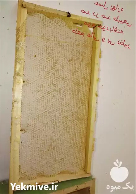 قیمت خرید عسل گلی در تهران در گروه عسل شیره و فرآورده ی مربا در یکمیوه -عکس1