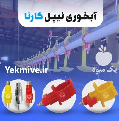 تجهیزات مرغداری در گروه تجهیزات مرغداری در یکمیوه -عکس1