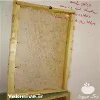 قیمت خرید عسل گلی در تهران در گروه عسل شیره و فرآورده ی مربا در یکمیوه