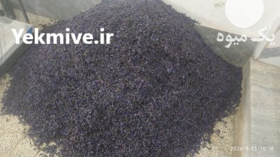 فروش گاوزبان عمده در ساری در گروه خرید و فروش گیاهان دارویی در یکمیوه -عکس2