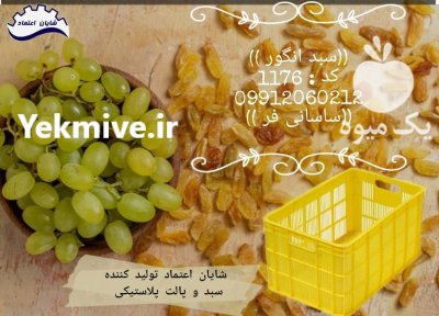 سبد 20 کیلویی سبد کشمش در ارومیه در گروه خرید و فروش انواع سبد در یکمیوه -عکس1