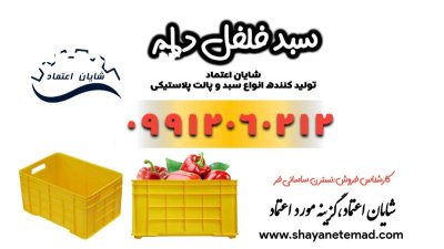سبد فلفل دلمه تیران در اصفهان در گروه خرید و فروش انواع سبد در یکمیوه -عکس1