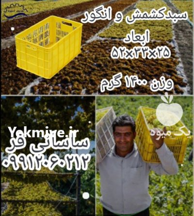 فروش طبق سبد انگور کشمش عمده در قزوین در گروه خرید و فروش انواع سبد در یکمیوه -عکس1