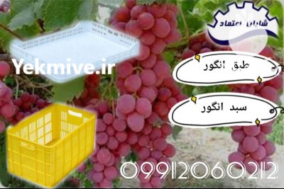 فروش طبق پلاستیکی نسوز در تبریز در آذربایجان شرقی در گروه خشک کن در یکمیوه -عکس1