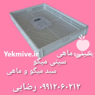 فروش سینی ماهی بندرگناوه در بوشهر در گروه خرید و فروش انواع سبد در یکمیوه -عکس1