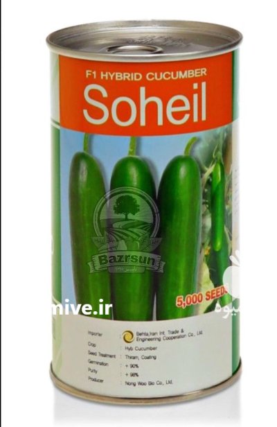 بذر خیار سهیل در کرج در گروه خرید و فروش بذر خیار در یکمیوه -عکس1