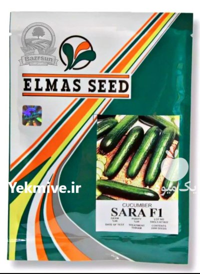 بذر خیار سارا الماس سید در ارومیه در گروه خرید و فروش بذر خیار در یکمیوه -عکس1