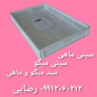 فروش سینی ماهی بندرگناوه در بوشهر در گروه خرید و فروش انواع سبد در یکمیوه