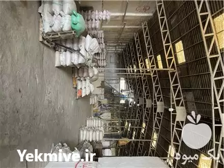 قیمت خرید برنج در محمودآباد در گروه خرید و فروش برنج در یکمیوه -عکس1