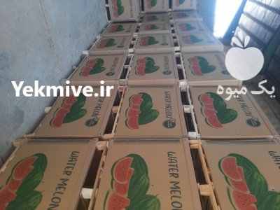 باکس پالت کارتنی صادراتی نیم تنی در گروه خرید و فروش انواع بسته بندی کارتن در یکمیوه -عکس3