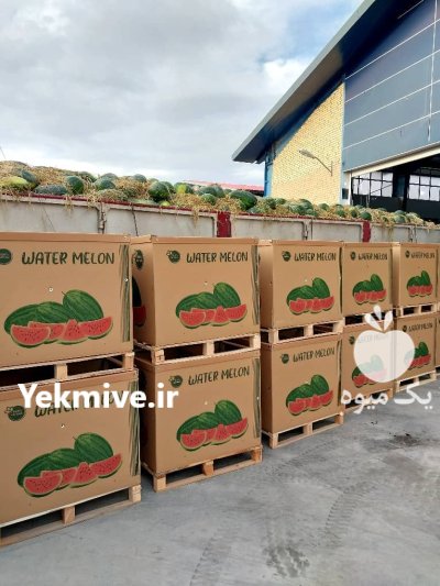 باکس پالت کارتنی صادراتی نیم تنی در گروه خرید و فروش انواع بسته بندی کارتن در یکمیوه -عکس4