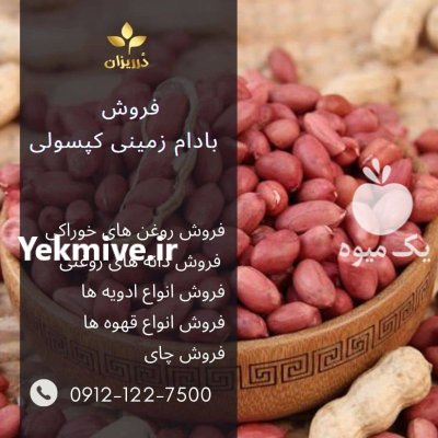 فروش بادام زمینی کپسولی حام عمده در ری  در گروه خرید و فروش بادام در یکمیوه -عکس1