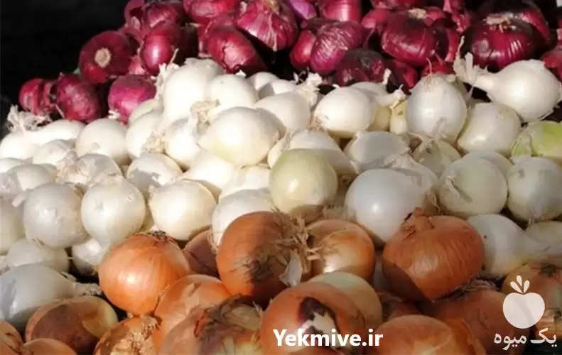قیمت خرید تامین کننده صیفی جات در اصفهان در گروه خرید و فروش پیاز در یکمیوه -عکس1
