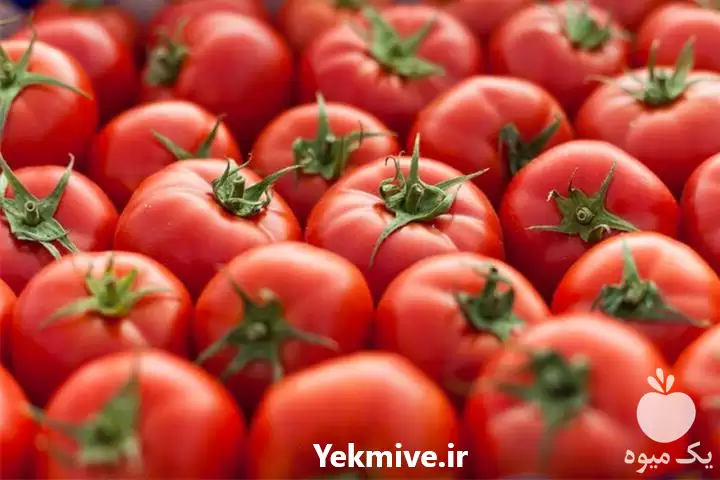 عمده گوجه صادراتی با بالاترین کیفیت در کرمان  در گروه خرید و فروش گوجه فرنگی در یکمیوه -عکس1