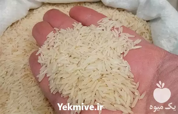 خرید و فروش عمده برنج هاشمی در گروه خرید و فروش برنج در یکمیوه -عکس1