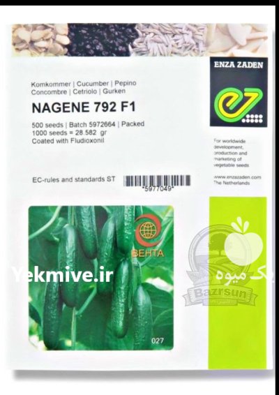 بذر خیار گلخانه ای ناگین در گروه خرید و فروش بذر خیار در یکمیوه -عکس1