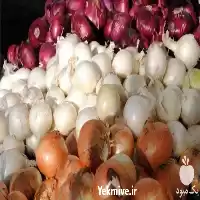 قیمت خرید تامین کننده صیفی جات در اصفهان در گروه خرید و فروش پیاز در یکمیوه