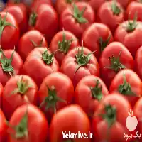 عمده گوجه صادراتی با بالاترین کیفیت در کرمان  در گروه خرید و فروش گوجه فرنگی در یکمیوه