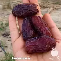 خرید عمده خرمای پیارم با کیفیت در گروه خرید و فروش خرما در یکمیوه