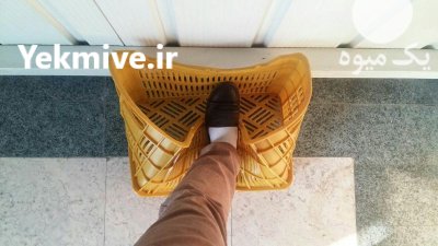 تولید کننده پالت پلاستیکی و سبد در گروه خرید و فروش پالت در یکمیوه -عکس1