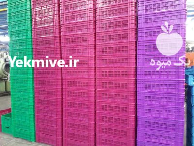 تولید کننده پالت پلاستیکی و سبد در گروه خرید و فروش پالت در یکمیوه -عکس3