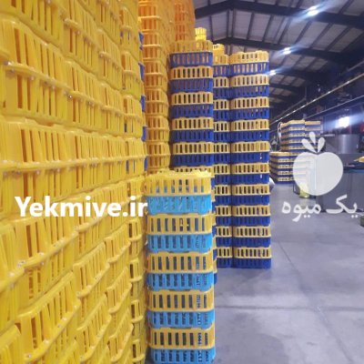 تولید کننده پالت پلاستیکی و سبد در گروه خرید و فروش پالت در یکمیوه -عکس4