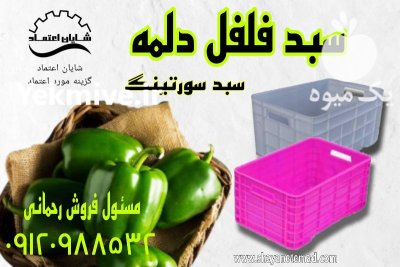 سبد فلفل دلمه ای در آبادان در گروه خرید و فروش انواع سبد در یکمیوه -عکس1